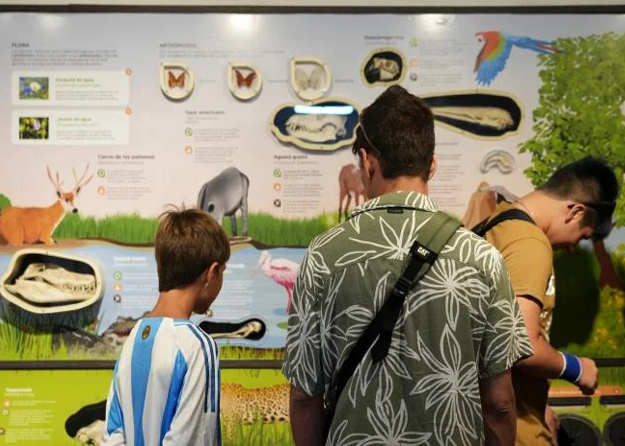 Cómo participar de las actividades gratuitas del Ecoparque